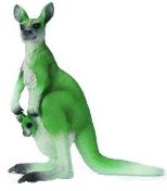 un banal kangourou vert